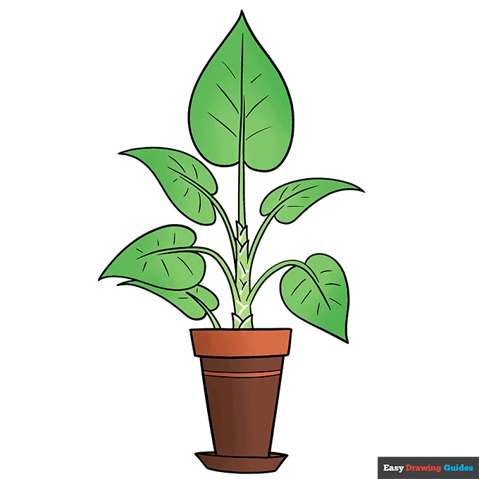 plant